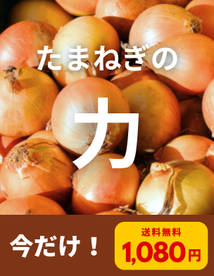 【期間限定】発酵黒タマネギ＋ケルセチン